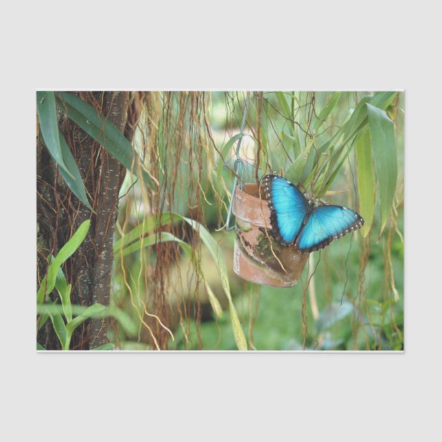 Papier Mousseline Inspirations de la nature Bright Blue Butterfly (Recto)