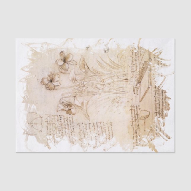 Papier Mousseline Inspiré par Léonard de Vinci (Recto)