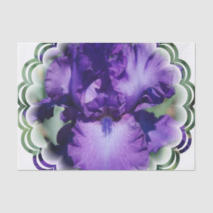 Papier Mousseline Iris barbu pourpre