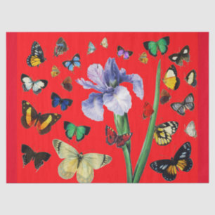 PAPIER MOUSSELINE IRIS PARMI LES PAPILLONS COLORÉS