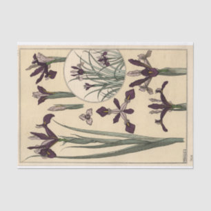 Papier Mousseline Iris, série de botanique d'Eugène Grasset