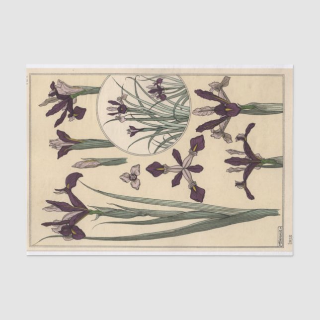 Papier Mousseline Iris, série de botanique d'Eugène Grasset (Recto)