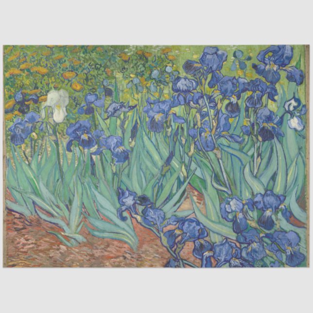 Papier Mousseline Irises par Vincent Van Gogh (Recto)