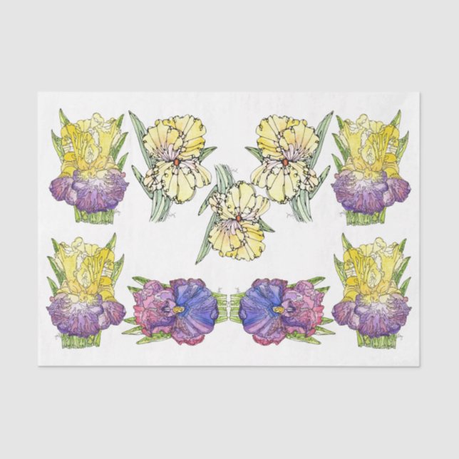 Papier Mousseline Irises Purple Yellow - Papier Tissu Découpage (Recto)