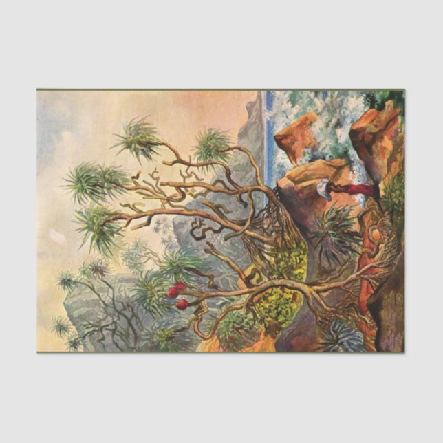 Papier Mousseline Island Ernst Haeckel Découpage Papier de tissus (Recto)