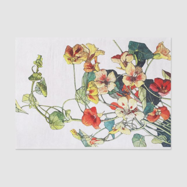 Papier Mousseline Jardin Art Nouveau Fleurs de Nasturtium (Recto)
