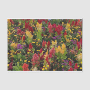 Papier Mousseline Jardin de fleurs d'été animé à Orlando en Floride
