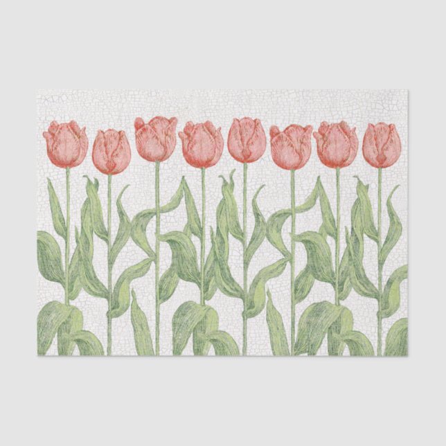 Papier Mousseline Jardin de tulipe (Recto)