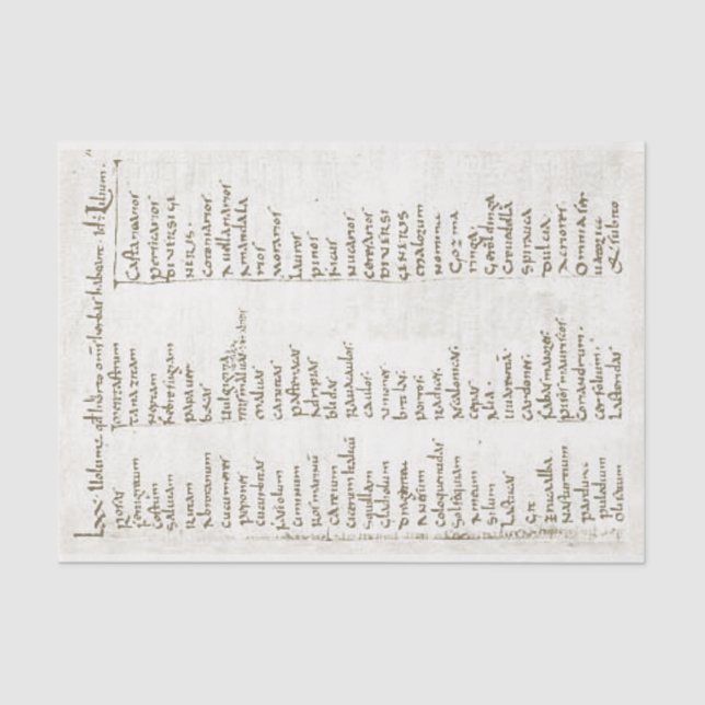 Papier Mousseline Jardin du XVIIIe siècle plantes (Recto)