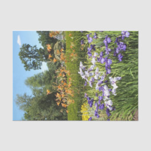 Papier Mousseline Jardin pourpre Iris