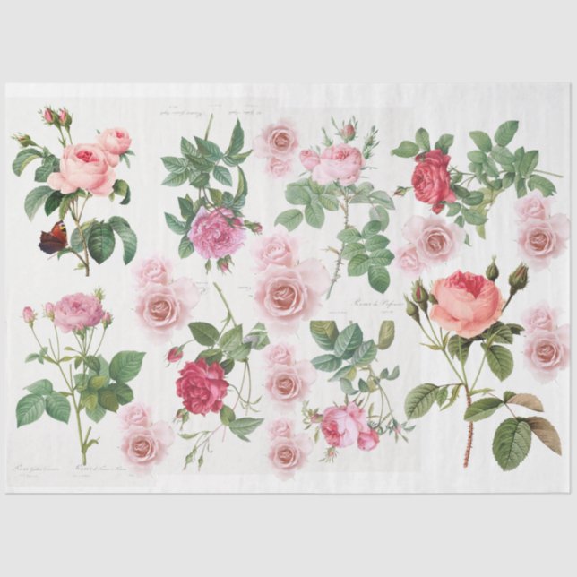 Papier Mousseline Jardin rose (Recto)