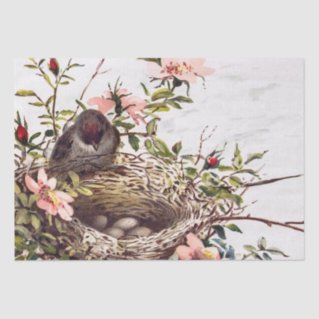 Papier Mousseline Jeu de découpage Brown d'oiseaux et de nids Roses  (Recto)