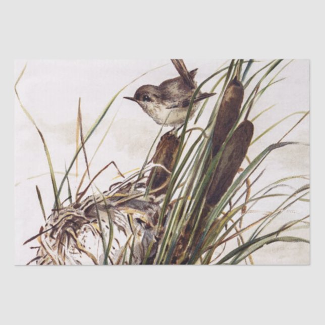 Papier Mousseline Jeu de découpage Brown d'oiseaux et de nids Wren 2 (Recto)