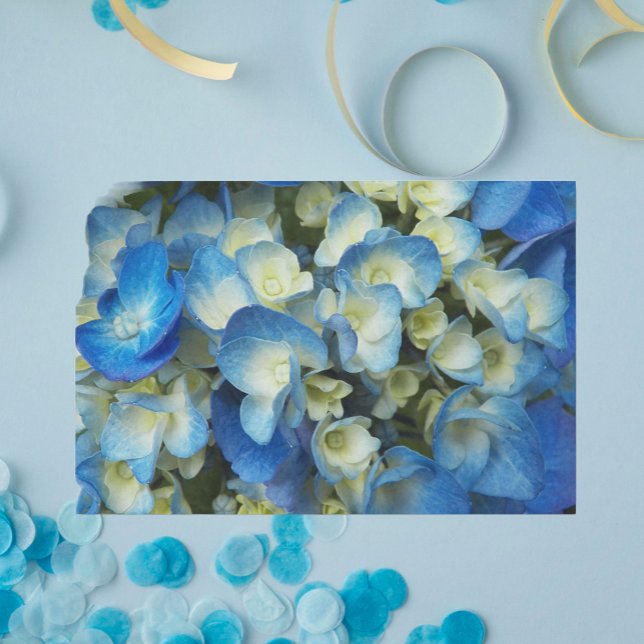 Papier Mousseline Joli bleu Hydrangea Floral (In Situ)