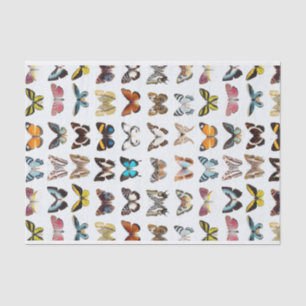 Papier Mousseline Joli Motif des papillons