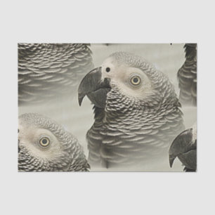 Papier Mousseline Joli perroquet gris du Congo