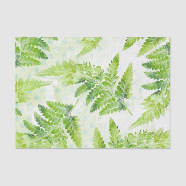 Papier Mousseline Jolie Ferne Botanique Motif d'aquarelle verte (Recto)