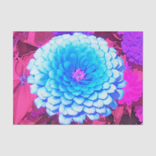 Papier Mousseline Jolie Zinnia Bleue dans le Jardin d'été pourpre
