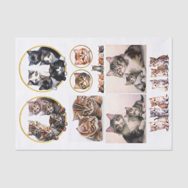 Papier Mousseline Jolies chatons dans le style de Helena Maguire (Recto)