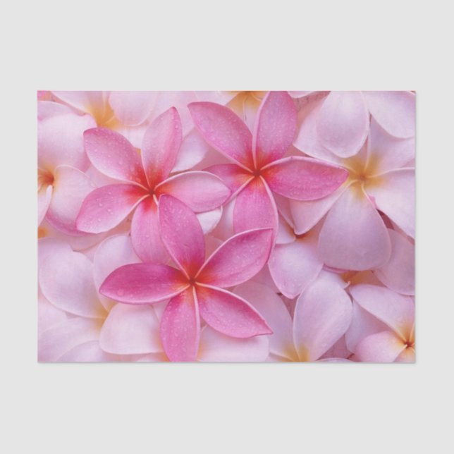 Papier Mousseline Jolies Fleurs D'Été Roses (Recto)