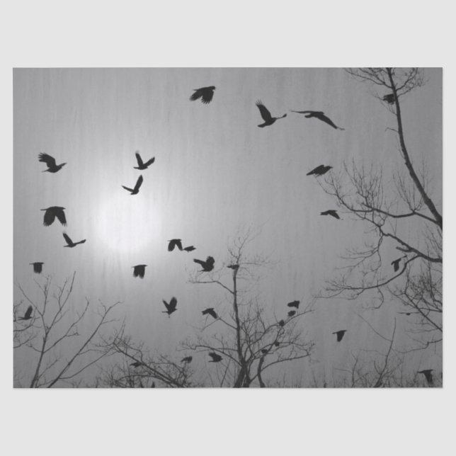 Papier Mousseline Jolies oiseaux (Recto)
