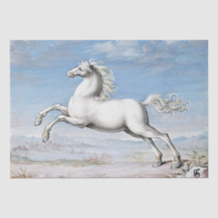 Papier Mousseline Joris Hoefnagel Cheval Blanc - 1552 et 1601