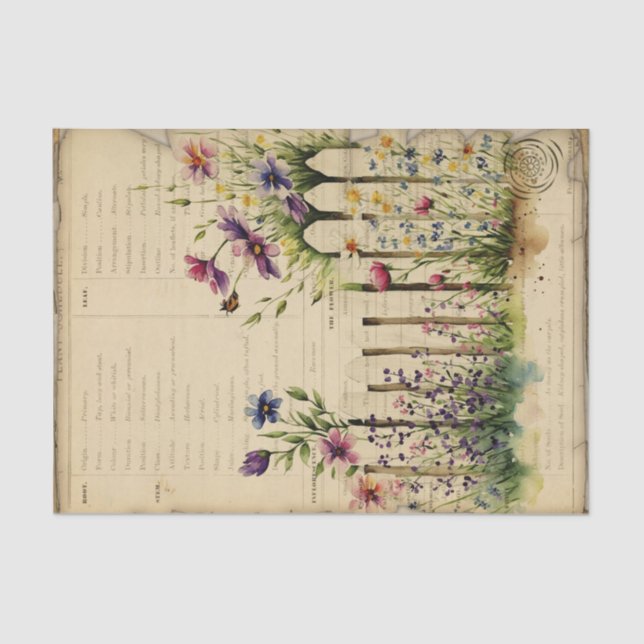 Papier Mousseline Journal vintage (Recto)