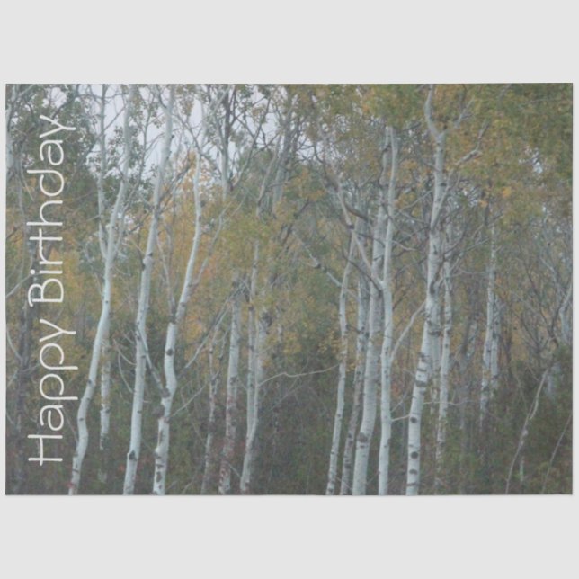 Papier Mousseline Joyeux Birthday Birch Bark Tissue Paper (Recto)