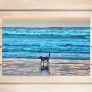 Papier Mousseline Joyeux chien et réflexion sur la plage au coucher