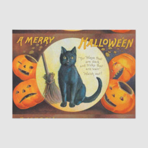 Papier Mousseline Joyeux Halloween chat de Falln