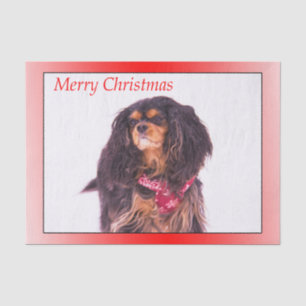 Papier Mousseline Joyeux Noël noir Tan Cavalier King Charles