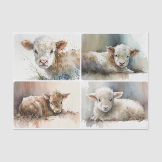 Papier Mousseline Juste un bébé (Recto)