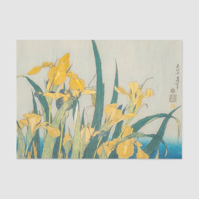 Papier Mousseline Katsushika Hokusai - Grasshopper et Iris (Recto)