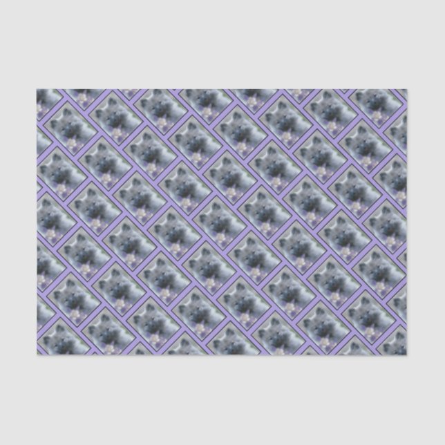 Papier Mousseline Keeshond et Columbine - Photo de chien (Recto)