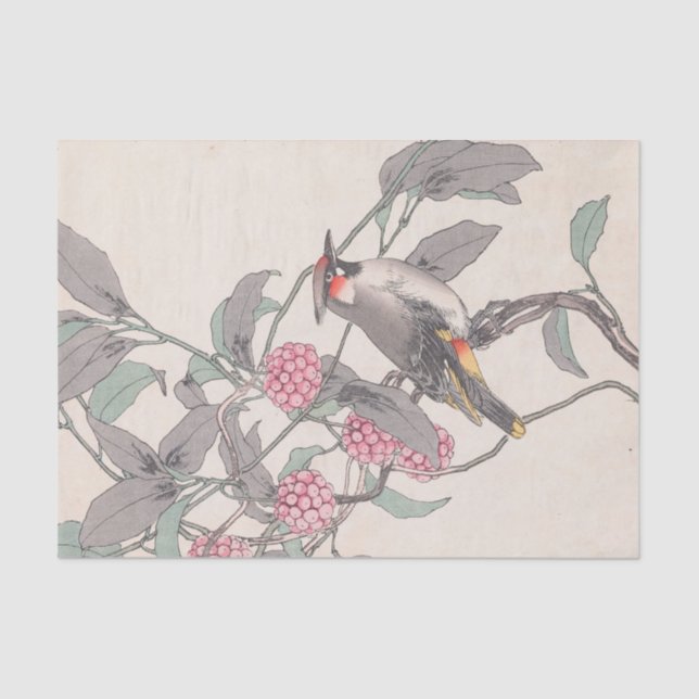 Papier Mousseline Keinen Kachō Gafu, Pl.21 par Imao Keinen (Recto)