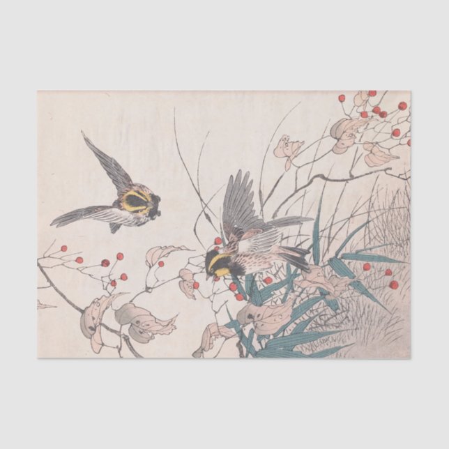 Papier Mousseline Keinen Kachō Gafu, Pl.27 par Imao Keinen (Recto)