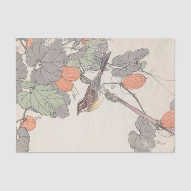 Papier Mousseline Keinen Kachō Gafu, Pl.38 par Imao Keinen (Recto)