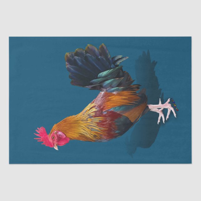 Papier Mousseline Key West - Rooster tzigane (Recto)