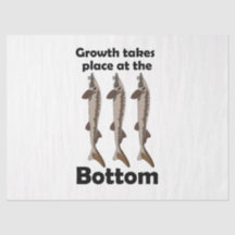 La croissance du poisson esturgeon a lieu au fond
