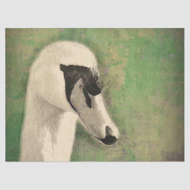 Papier Mousseline La dernière page de découpage du cygne (Recto)