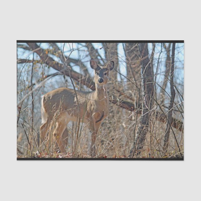 Papier Mousseline La faune Deer Woods  (Recto)