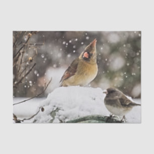 Papier Mousseline La faune des oiseaux cardinaux femelles en hiver d