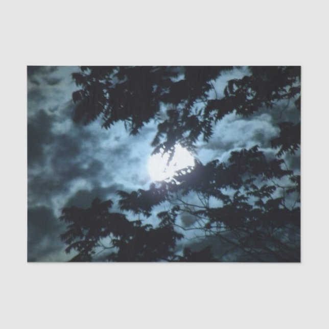 Papier Mousseline La lune illumine la nuit derrière des branches (Recto)