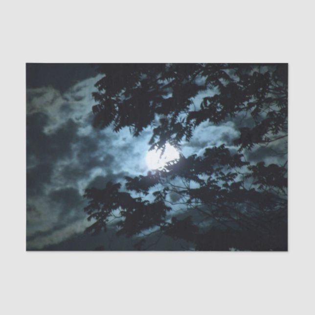 Papier Mousseline La Lune illumine la nuit derrière les branches des (Recto)