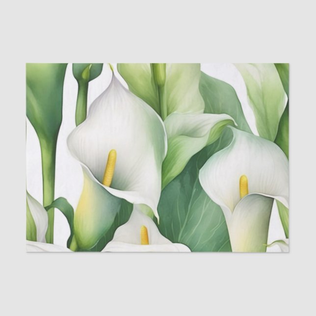 Papier Mousseline La nature blanche de Calla Lily (Recto)