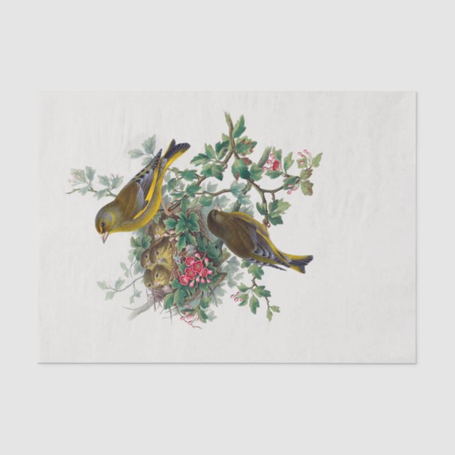 Papier Mousseline La page Découpage européenne verdoyante (Recto)