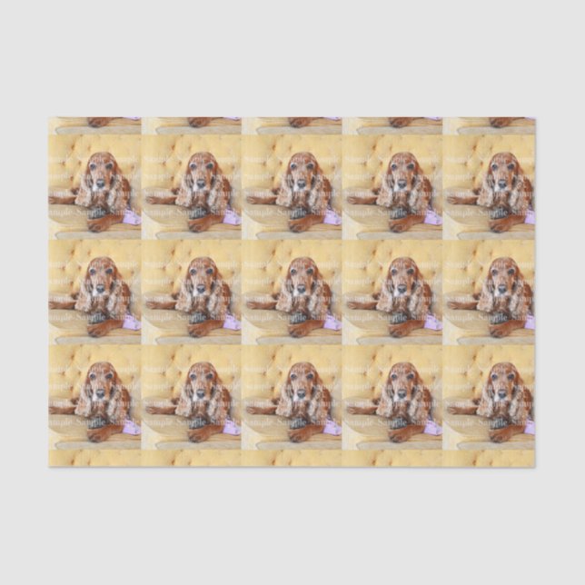 Papier Mousseline La photo commémorative d'animal familier (Recto)