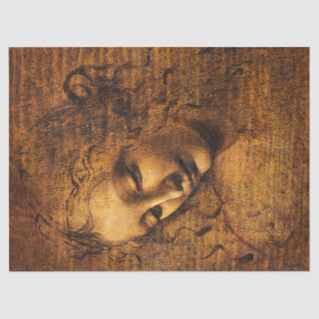 Papier Mousseline La Scapiliata, 1506-1508 par Léonard de Vinci (Recto)