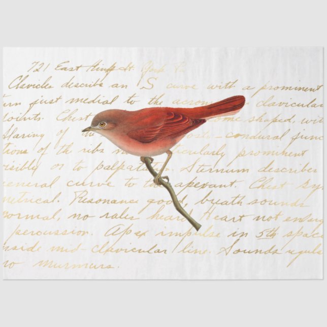 Papier Mousseline La série Bouquet Design 140 (Recto)