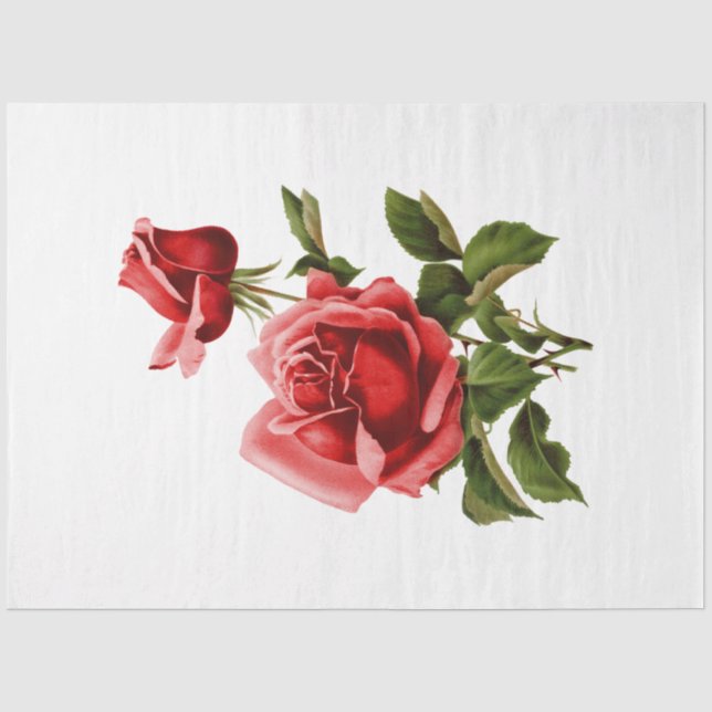 Papier Mousseline La série de bouquets Design 134 (Recto)